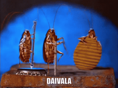 Daivala Kabakum GIF