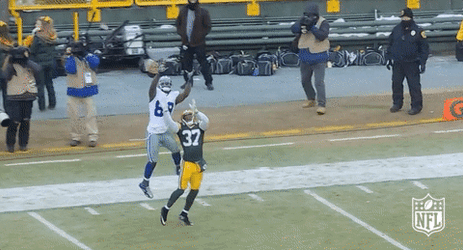 Dallas Cowboys Dez Bryant Amazing Catch GIF