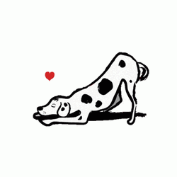 Dalmatian Dog Bowing Down