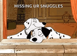 Dalmatian Dog Missing Your Snuggles GIF