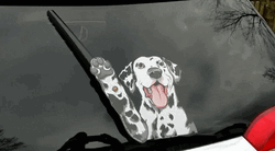 Dalmatian Dog Waving Wiper