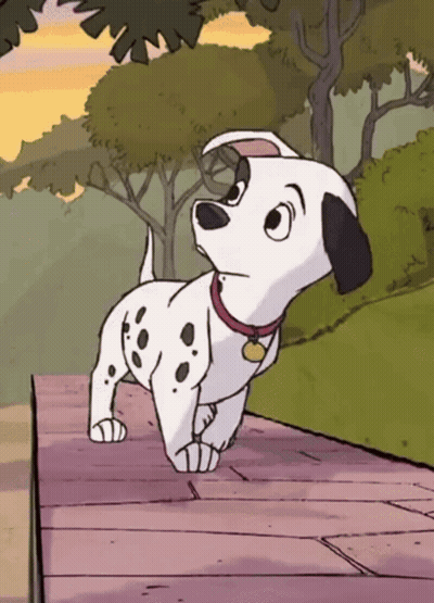 Dalmatian Dog With Red Collar And Tag GIF