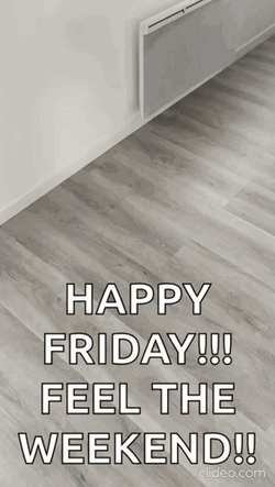 Dalmatian Happy Friday Meme GIF