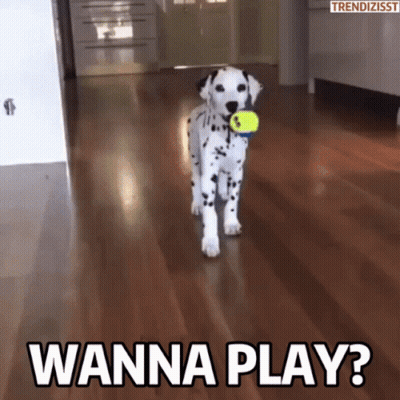 Dalmatian Puppy Holding Tennis Ball Saying Wanna Play GIF
