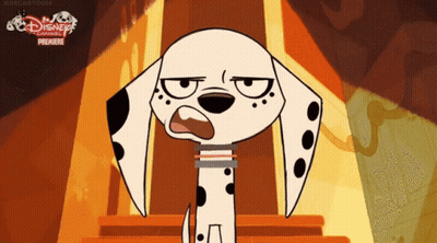 Dalmatian Sitting On Stairs With Disney Channel Logo GIF