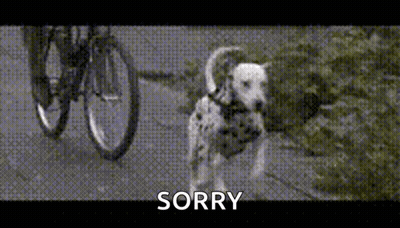 Dalmatian Standing Next To Bicycle GIF