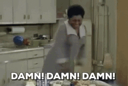 Damn Damn Damn Angry Florida Evans GIF