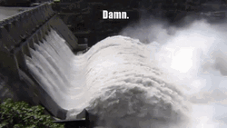 Damn Damn Damn McMaster Big Dam GIF