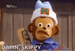 Damn Skippy Meme GIF