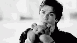 Damon Salvatore Funny Teddy Bear GIF