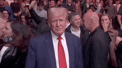 Dana White Behind Donald Trump GIF