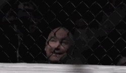 Dana White On The Corner GIF
