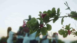 Dance Celebration Mazel Tov GIF