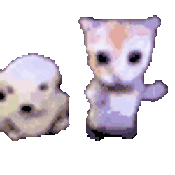 Danci Dancing Cat Sticker GIF
