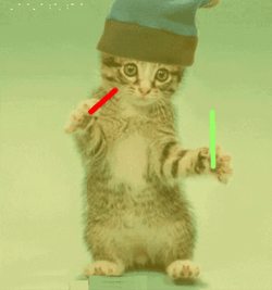Dancing Animal Cat Holding Lightsaber GIF