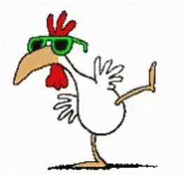 Dancing Animal Chicken Dance GIF