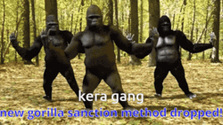 Dancing Animal Gorilla Dancing GIF