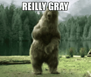 Dancing Animal Really Gray GIF