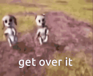 Dancing Barbie Dogs Get Over It GIF