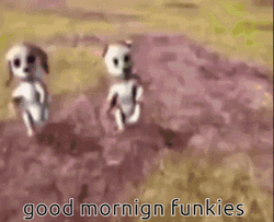 Dancing Barbie Dogs Good Morning Punkies Meme GIF