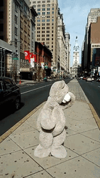 Dancing Bear Emotional GIF
