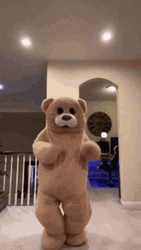 Dancing Bear Mascot Shake It GIF