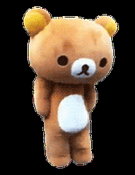 Dancing Bear GIFs | GIFDB.com