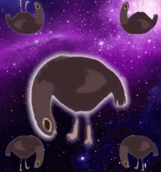 Dancing Bird Trash Doves Galaxy GIF
