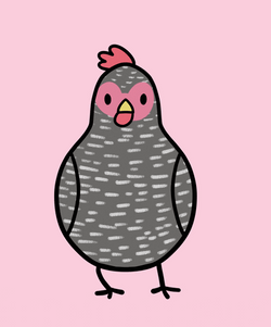 Dancing Black And White Animated Chicken GIF