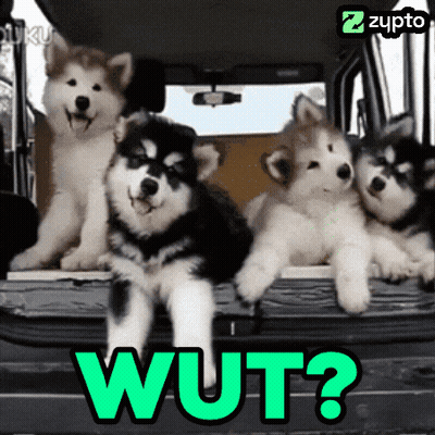 Dancing Blue Jumpsuit Race Car Zoom Zoom Zoom GIF