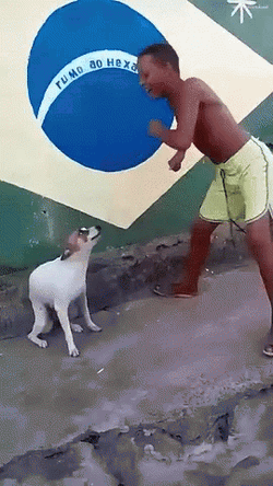 Dancing Boy And Dog Animal GIF
