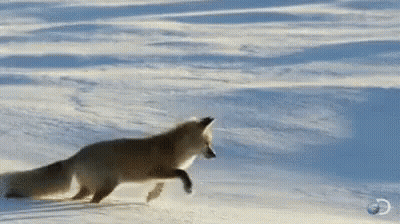 Dancing Cartoon Characters Wearing Hats And Sunglasses GIF