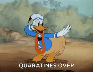 Dancing Cartoon Donald Duck GIF
