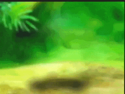Dancing Cartoon Monkey In Forest GIF