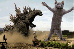Dancing Cat And Godzilla