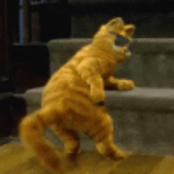 Dancing Cat Back It Up GIF