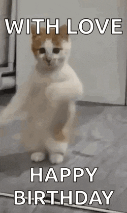 Dancing Cat Dance GIF