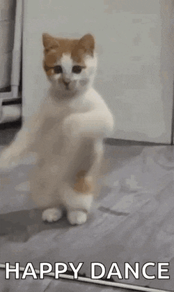 Dancing Cat Dance GIF
