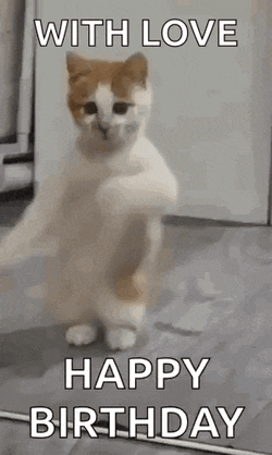 Dancing Cat Dance GIF
