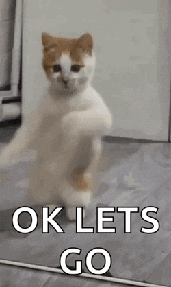 Dancing Cat Dance GIF