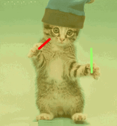 Dancing Cat Light Sticks