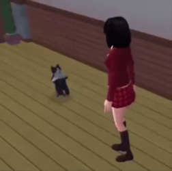 Dancing Cat Meme Tumbling Dance  GIF