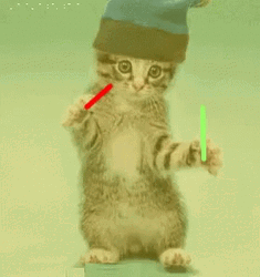 Dancing Cat Party Lightsticks  GIF