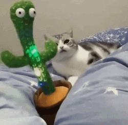 Dancing Cat Shaking Toy Cactus