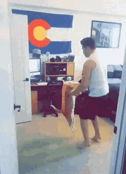 Dancing Cat With Guy Owner GIF