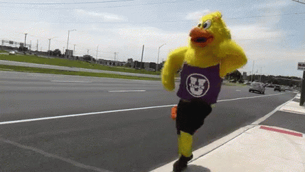Dancing Chicken Mascot GIF