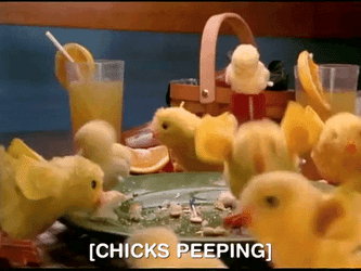 Dancing Chicks Peeps GIF