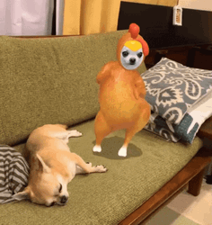 Dancing Chiwawa Chicken GIF