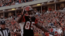 Dancing Cincinnati Bengals Chad Johnson GIF