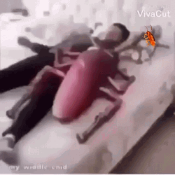 Dancing Cockroach GIF